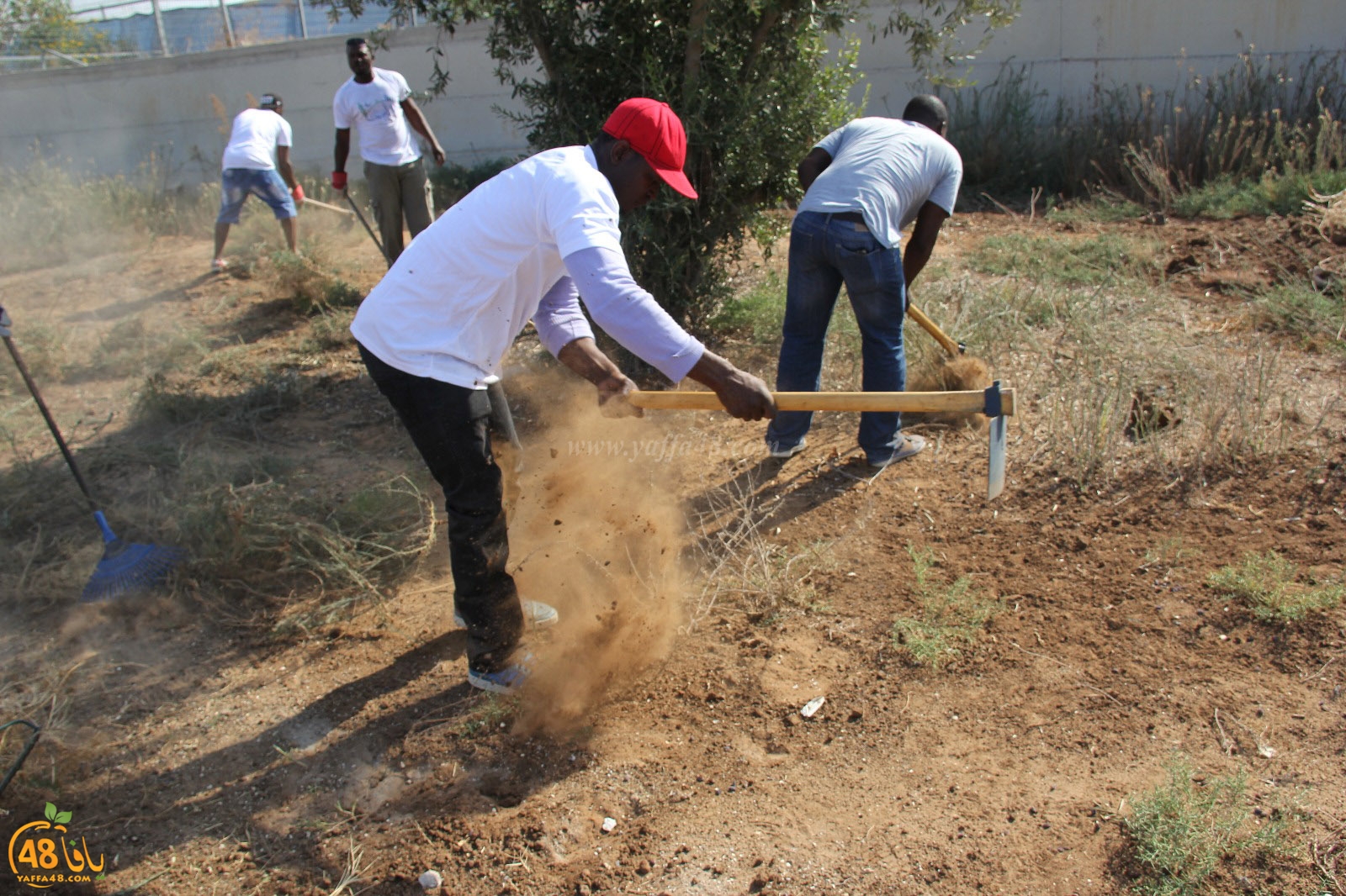 tasoo tandefet (9).jpg